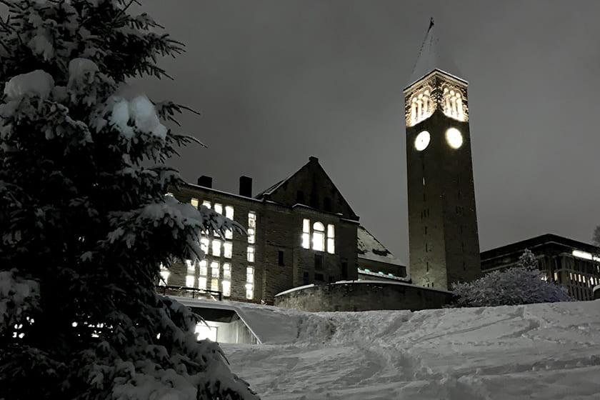 A photograph of Libe Slope from the base on a snowy night.