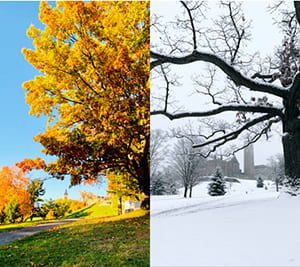 Two photos of the same spot on Libe Slope. One is a fall scene and is a winter scene