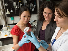 A photograph of a faculty memeber and two students working in a lab